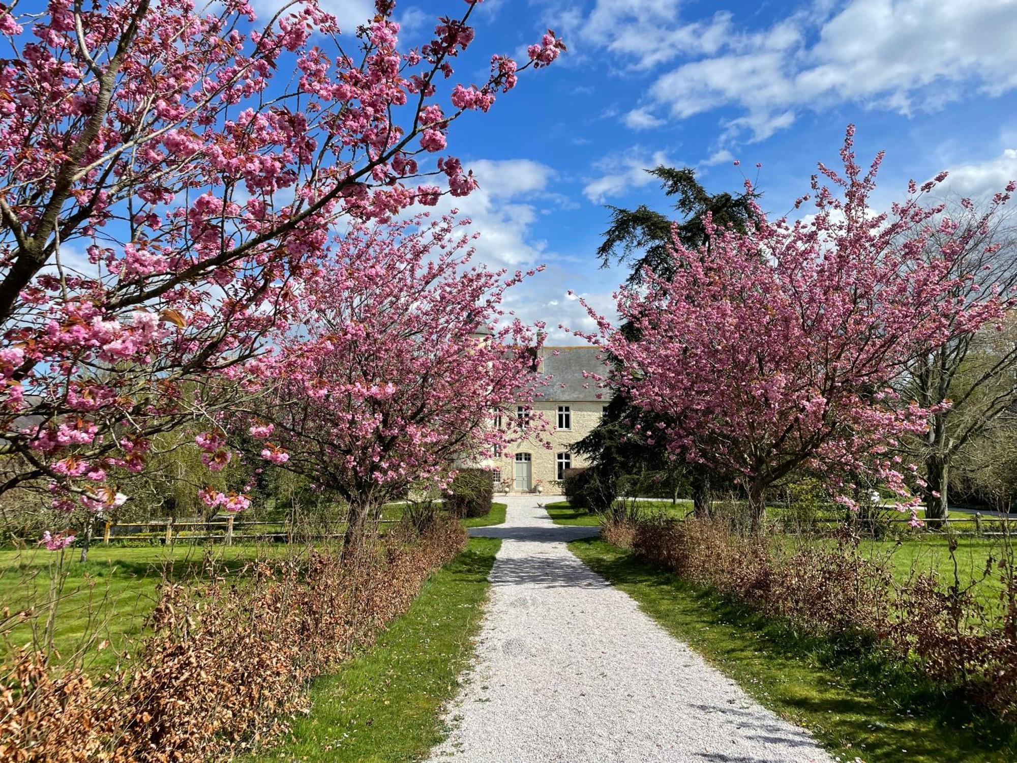 Chateau De Monfreville Luaran gambar